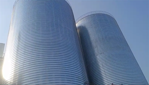 赣榆2座混凝土高架卷板仓